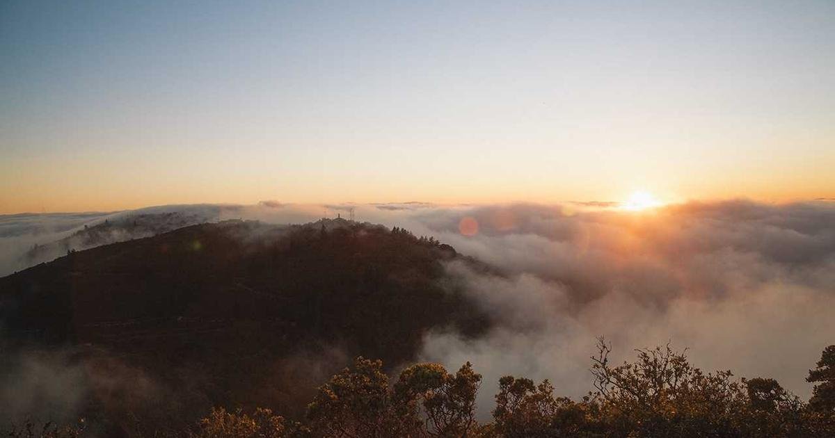 Mastering Your Grip: The Ultimate Guide to Hand Grip Strength and Why It Matters