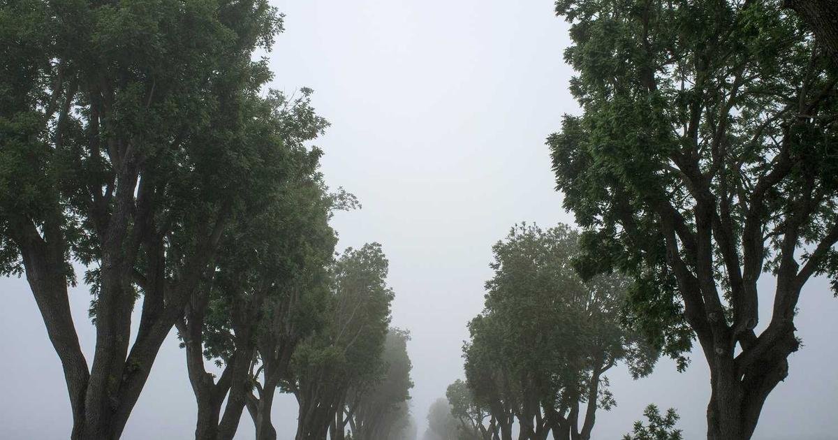 The Ultimate Guide to Broad-Spectrum Water-Resistant SPF Gels for Active Indian Lifestyles