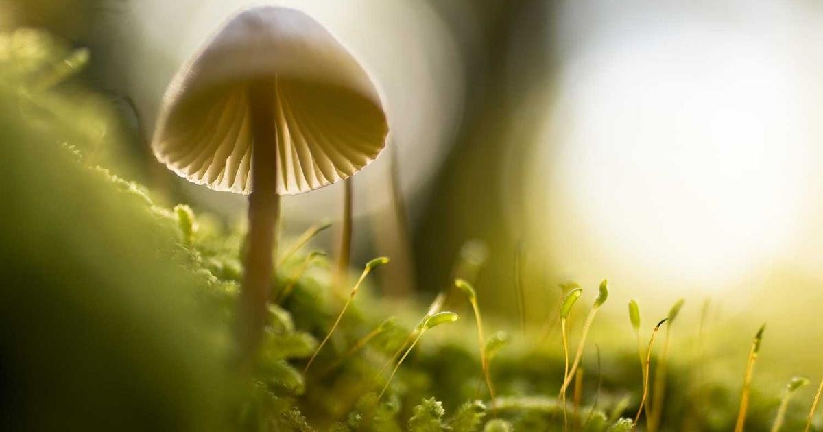 Finding Your Perfect Shield: The Ultimate Guide to Gel Broad-Spectrum Water-Resistant Fast-Absorbing Sunscreens in India